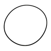 Ущільнення гумове 119.5х3 (Haldex), (F1,C2) LAND ROVER LR002888