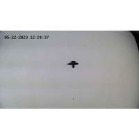 Клапан омивача s/v/c70, s80 -06, xc90 -08, s80 07-, c30 VOLVO 31391513